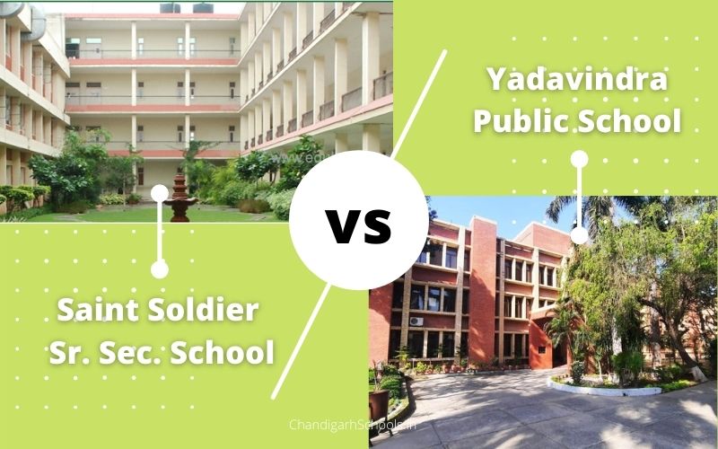 Saint Soldier Sr. Sec. School vs Yadavindra Public School